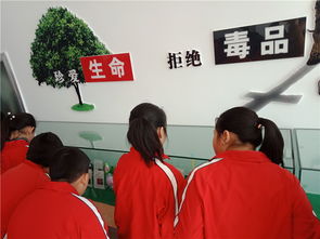 擰緊安全弦，筑牢防護(hù)網(wǎng)——煙臺龍口學(xué)校開展新時代文明實踐活動